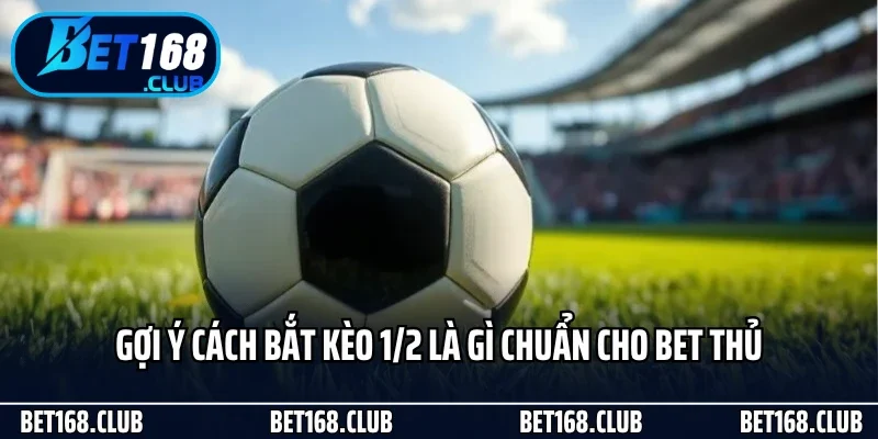 Kèo 1/2 Là Gì? Gợi Ý Kinh Nghiệm Bắt Cực Chuyên Nghiệp 3 Gợi ý cách bắt kèo 1/2 là gì chuẩn cho bet thủ